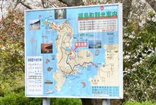 九州でお花見③　福島　大山展望台　(2025 .4)