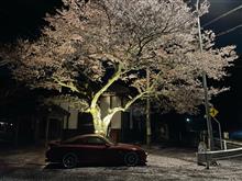 明日4月18日は