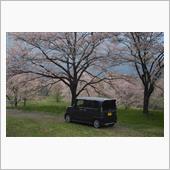 4/18大草城址公園
