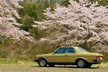 2025　愛車とサクラ🌸 no2