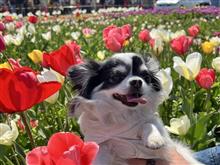 4月前半のお出かけ