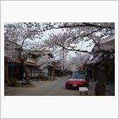 この春最後の桜ドライブ①