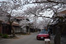 この春最後の桜ドライブ①