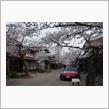 この春最後の桜ドライブ①
