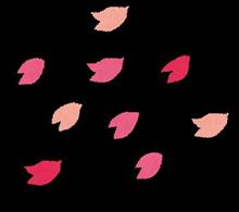 桜もそろそろ。。