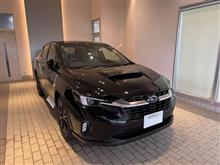 レビュー