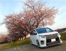 桜&#215;VOXY　part1