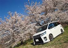 桜&#215;VOXY　part2