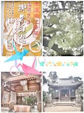 ４２０📛高崎十社巡り…『進雄神社』＆『和泉神社』…『１０３＆１０４』…『NO.1』…『前編』...『１ 』