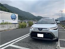 バランスが良い！
