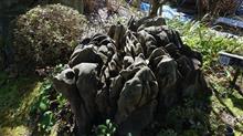 山陽の旅 その10　仙石庭園