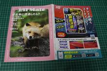 いつもより明るめに光らせております？