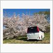 桜&#215;VOXY　part3
