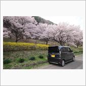高遠からの帰り道