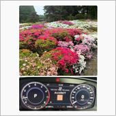 走行距離、31002キロです。