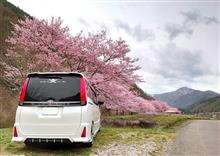 桜&#215;VOXY　part6
