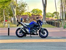 藤棚を見に朝活🏍️