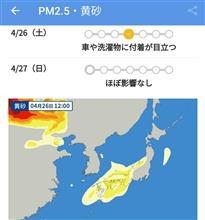 黄砂