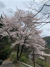 ㊗️冬季閉鎖解除　県道273号線②  上田側の下りも面白い🤣(画像40枚😅) 