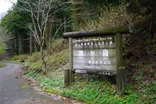 山行日記 2025.４.20　皿ヶ峰🌼