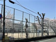 普通の報告(;&#180;∀｀)