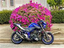 朝活🌺🏍️