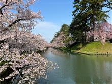 弘前の桜と酸ヶ湯温泉♨️