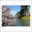 弘前の桜と酸ヶ湯温泉♨️