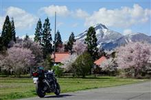 雪回廊と桜咲く東北ツーリング（桜三昧な１日目）