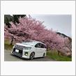 桜&#215;VOXY　part7