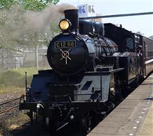 🚂茨城県の下館駅からSL真岡に乗ってきた。