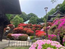 つつじ寺🌺