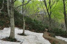 五頭山の「庭園」