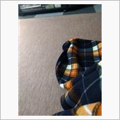 あったかラグ→冷えラグへ(^ ...