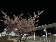春休み期間を利用して男旅！ELEVEN！！