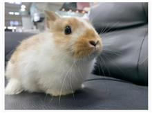 今日のサーちゃん 今日のサーちゃん