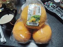今日から連休