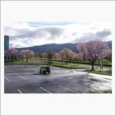 ジムニーで北海道へ桜旅（９日 ...