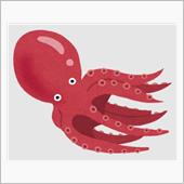 お刺身アート Ｃ:。ミ🐙
