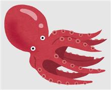 お刺身アート Ｃ:。ミ🐙