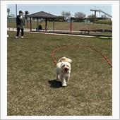 はちきんルナが隣町の公園で激 ...
