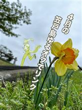 4月の笠戸島ゆるオフでリンクでカーズ