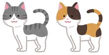 にゃんこ輸送完了