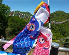 『ちょっくら茨城』竜神大吊橋 こいのぼり