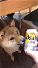 【暇人】大馬鹿連休【昼酒】