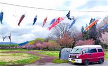 ワンモアサクラ