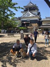 ワンコ旅行2日目