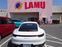 見つめられて初夏