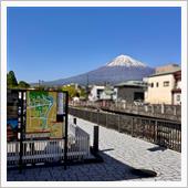 お祭りを覗きにいつものところ ...