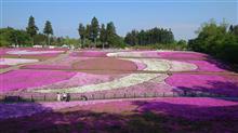 そして芝桜in秩父2025